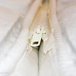 Διαμέρισμα Porthole *